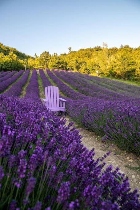 La Casa Della Lavanda Borgo Adorno Dış mekan fotoğraf