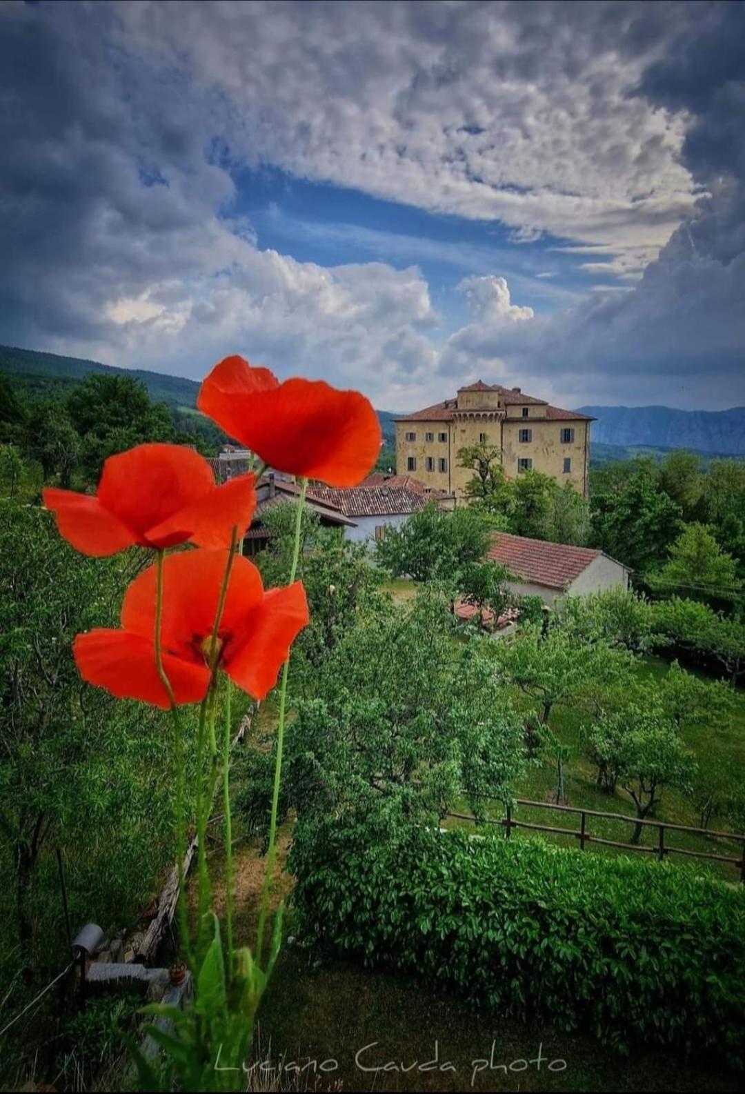 La Casa Della Lavanda Borgo Adorno Dış mekan fotoğraf